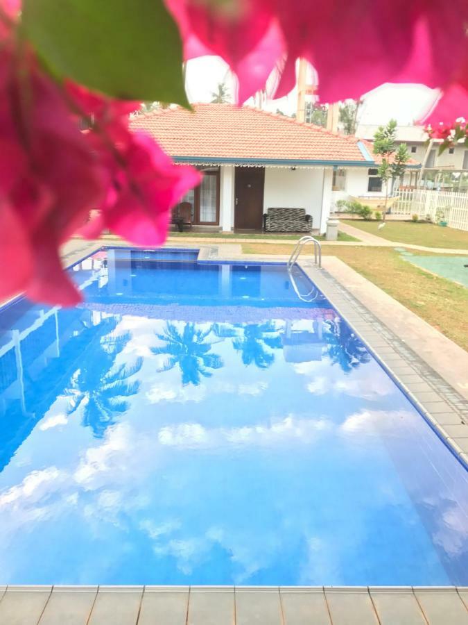 White Rose Beach Resort Marawila Esterno foto